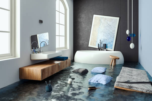 Best Water damage contractors near me  in Navarre, FL