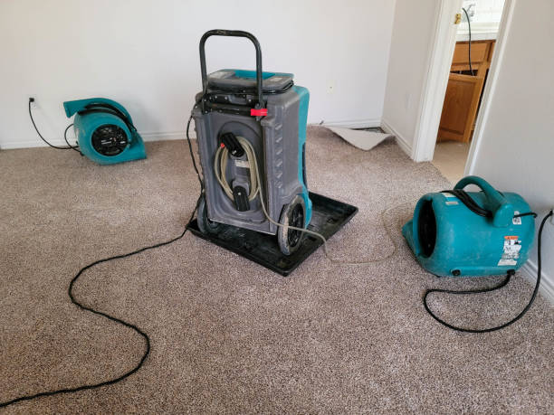 Best Flood restoration services  in Navarre, FL