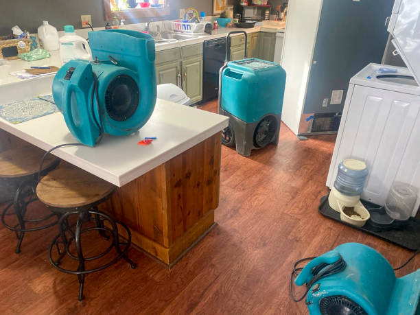 Best Water damage restoration company  in Navarre, FL