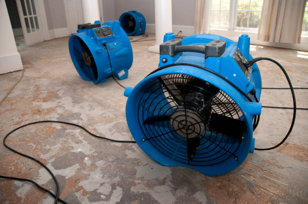  Navarre, FL Water damage restoration Pros
