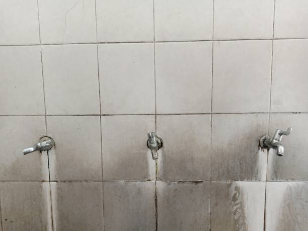 Best Commercial water damage restoration  in Navarre, FL