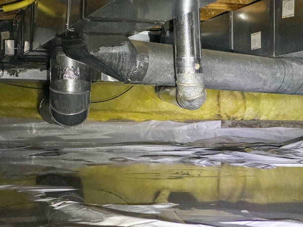 Best Mold removal after water damage  in Navarre, FL