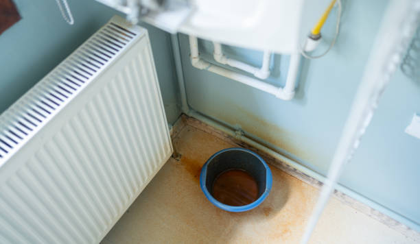 Best Professional water damage repair  in Navarre, FL