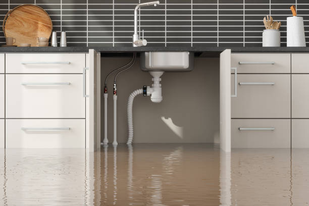 Best Flood damage cleanup  in Navarre, FL
