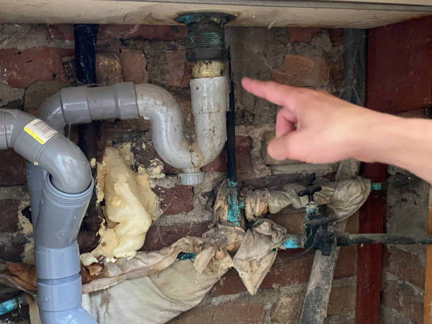 Best Flood restoration services  in Navarre, FL